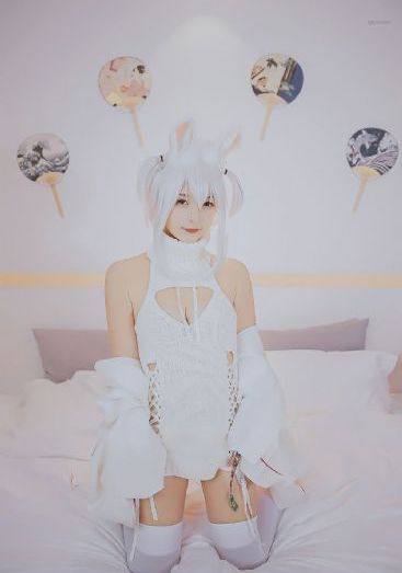 两个女人的战争免费观看电视剧