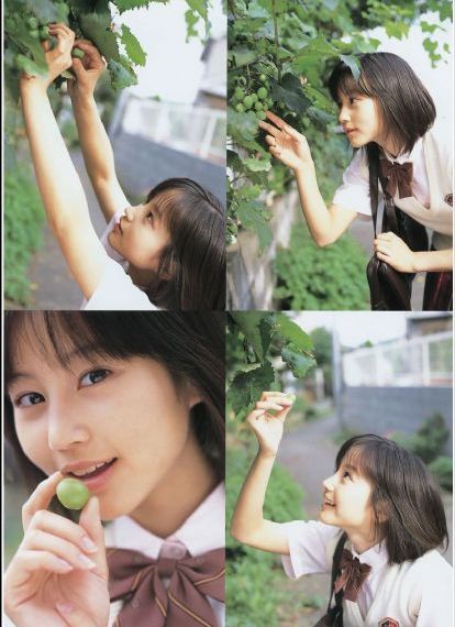 粉色大白菜(法国)