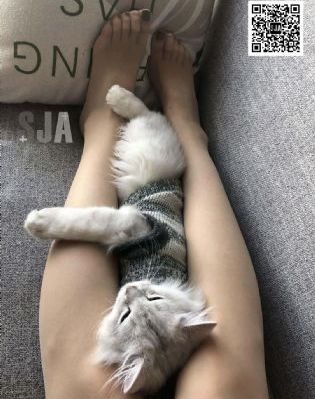 超级飞侠第一季