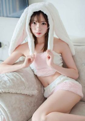 城中大盗