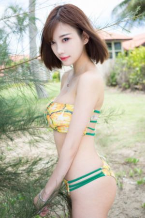 号手就位 电视剧