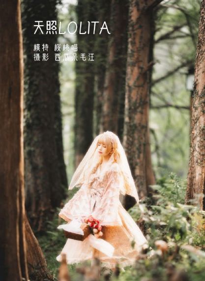 欲念之力 电视剧
