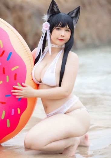 没落的贵族